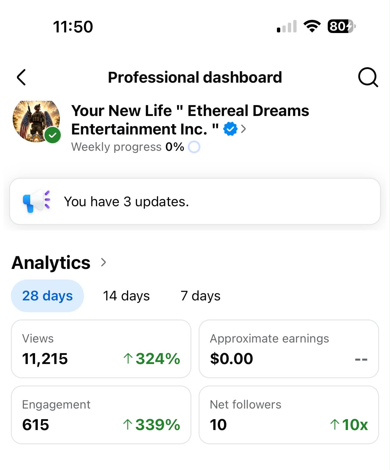 YOUR NEW LIFE professional dashboard showing a 28 day performance snapshot